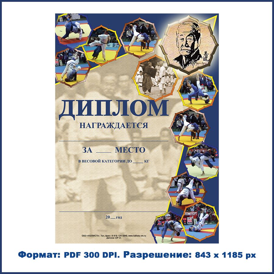 Диплом 2 (грамота) дзюдо формата А4. Для награждения победителей и призёров соревнований.