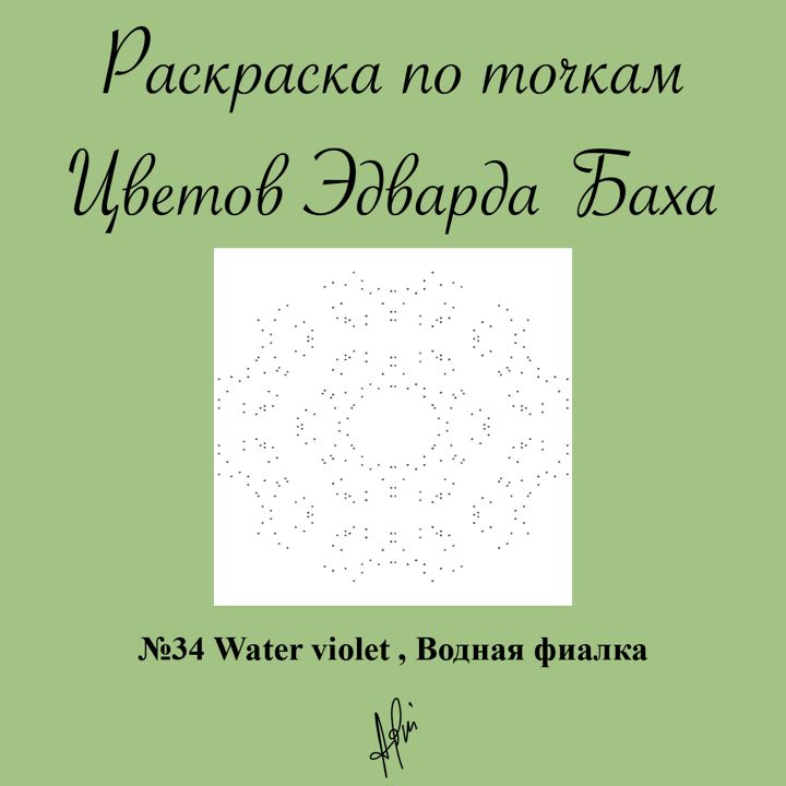 Раскраска по точкам №34 Water violet , Водная (водяная) фиалка, Цветок Эдварда Баха, антистресс