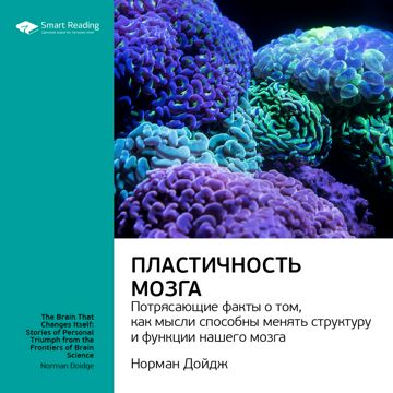 Пластичность мозга. Потрясающие факты о том, как мысли способны менять ...