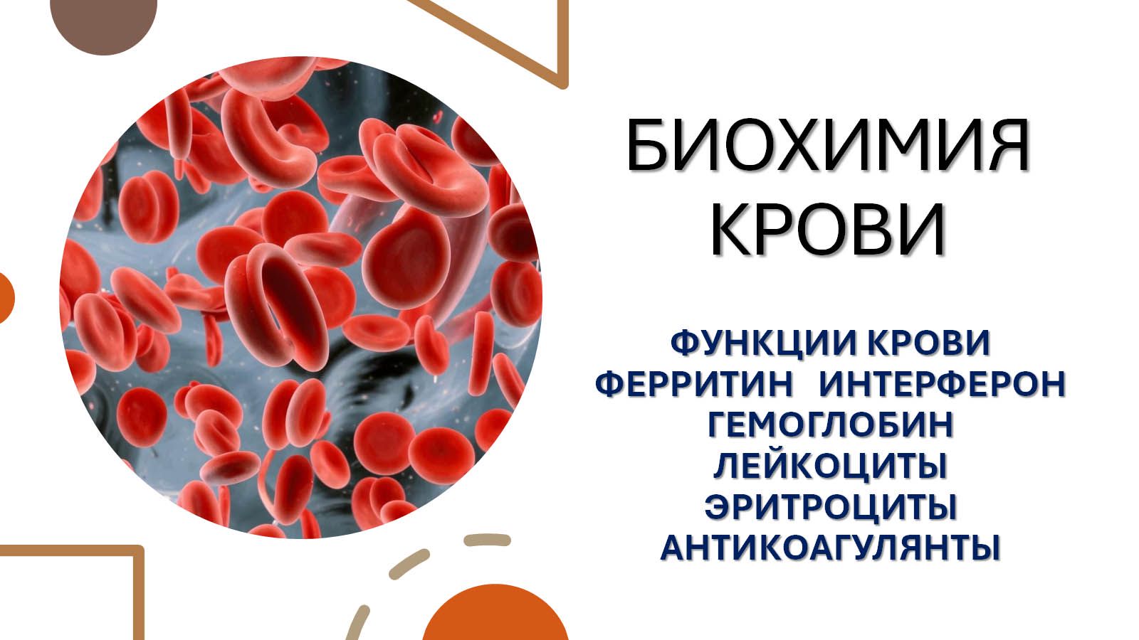 Презентация "Биохимия крови. Функции крови. Гемоглобин. Антикоагулянты. Ферритин