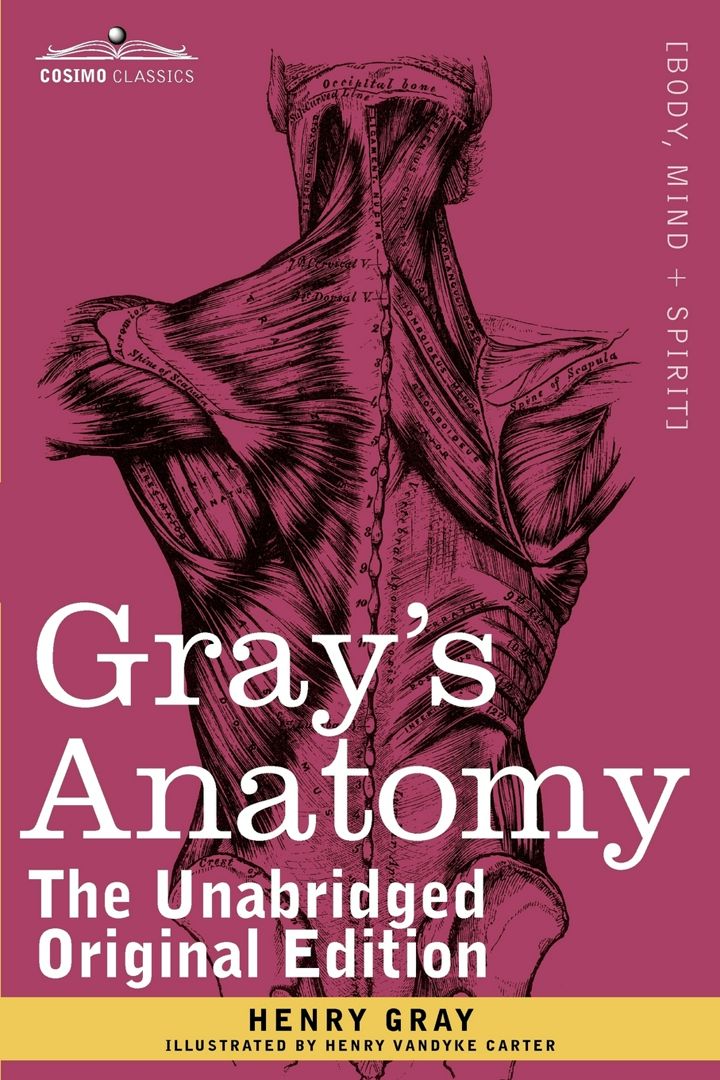 Gray's Anatomy. Descriptive and Surgical