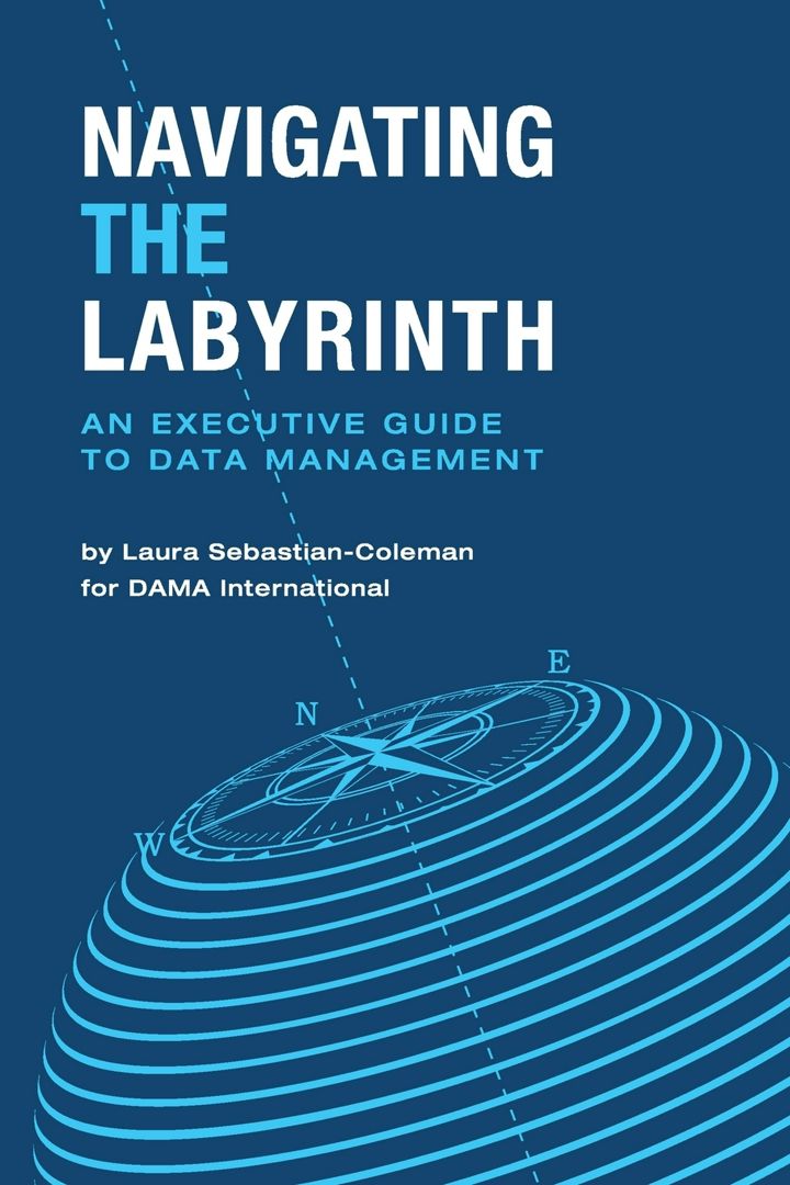 Navigating the Labyrinth. An Executive Guide to Data Management