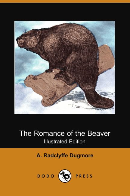 The Romance of the Beaver. Being the History of the Beaver in the Western Hemisphere (Illustrated...