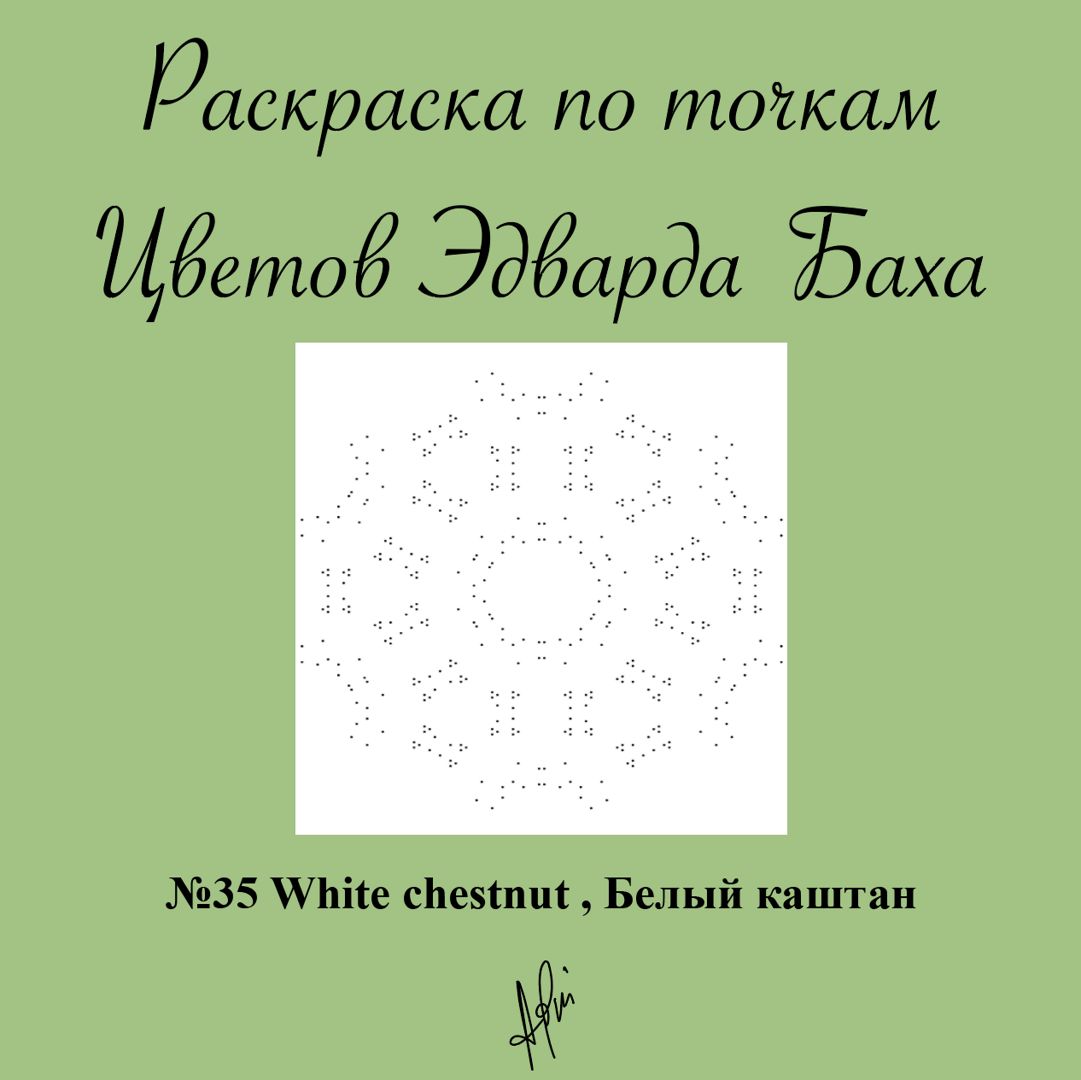 Раскраска по точкам №35 White chestnut , Белый каштан, Цветок Эдварда Баха, антистресс