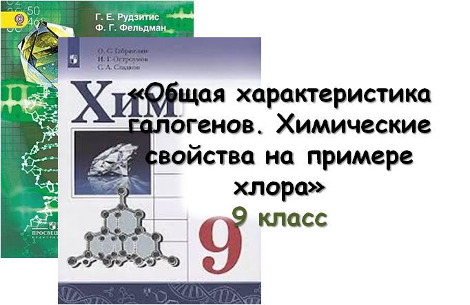 Урок «Общая характеристика галогенов. Химические свойства на примере хлора», 9 кл - Штрек Ирина Александровна - скачать на Wildberries Цифровой | 289218