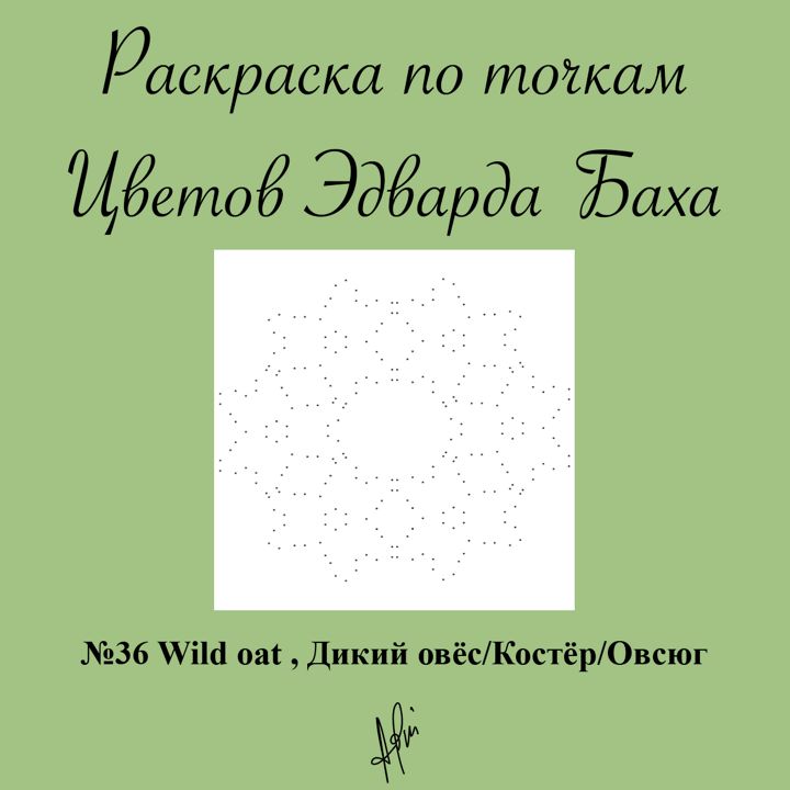 Раскраска по точкам №36 Wild oat , Дикий овёс/Костёр/Овсюг, Цветок Эдварда Баха, антистресс