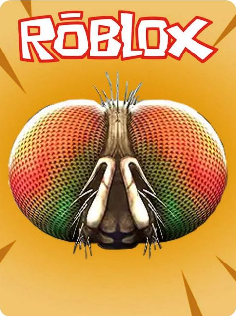 Roblox Freaky Fly Face