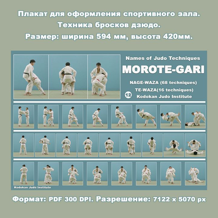 Плакат дзюдо форматом А2. Бросок захватом за две ноги MOROTE-GARI. Учебное пособие.