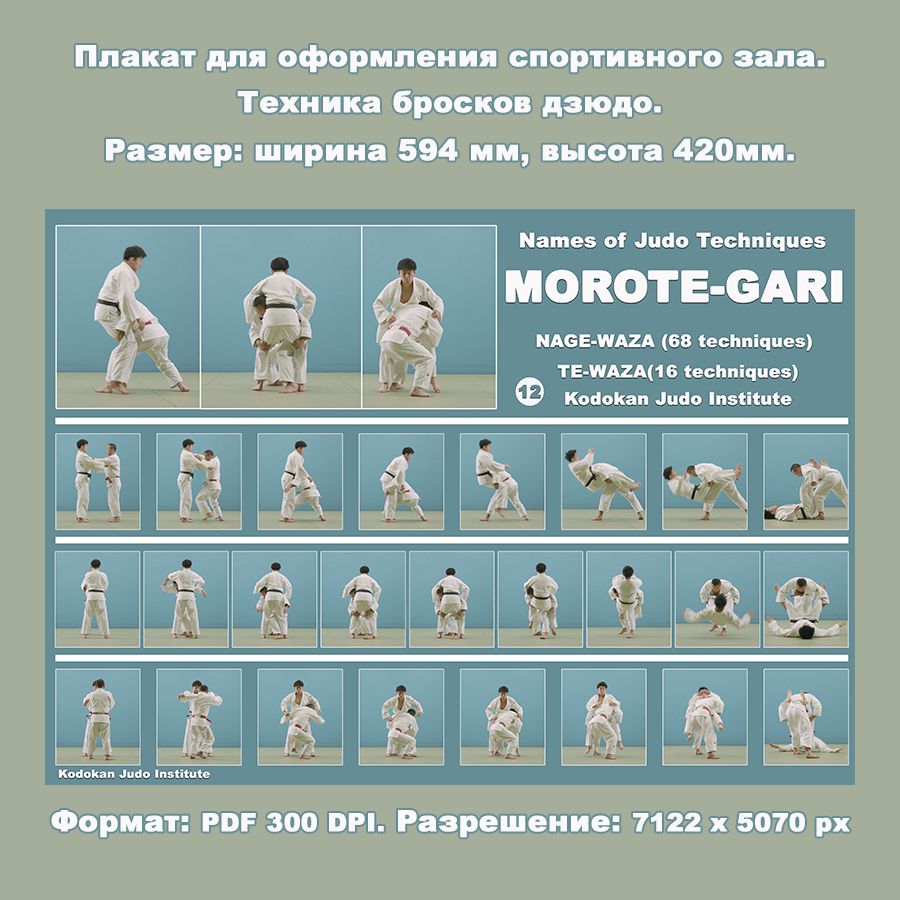 Плакат дзюдо форматом А2. Бросок захватом за две ноги MOROTE-GARI. Учебное пособие.