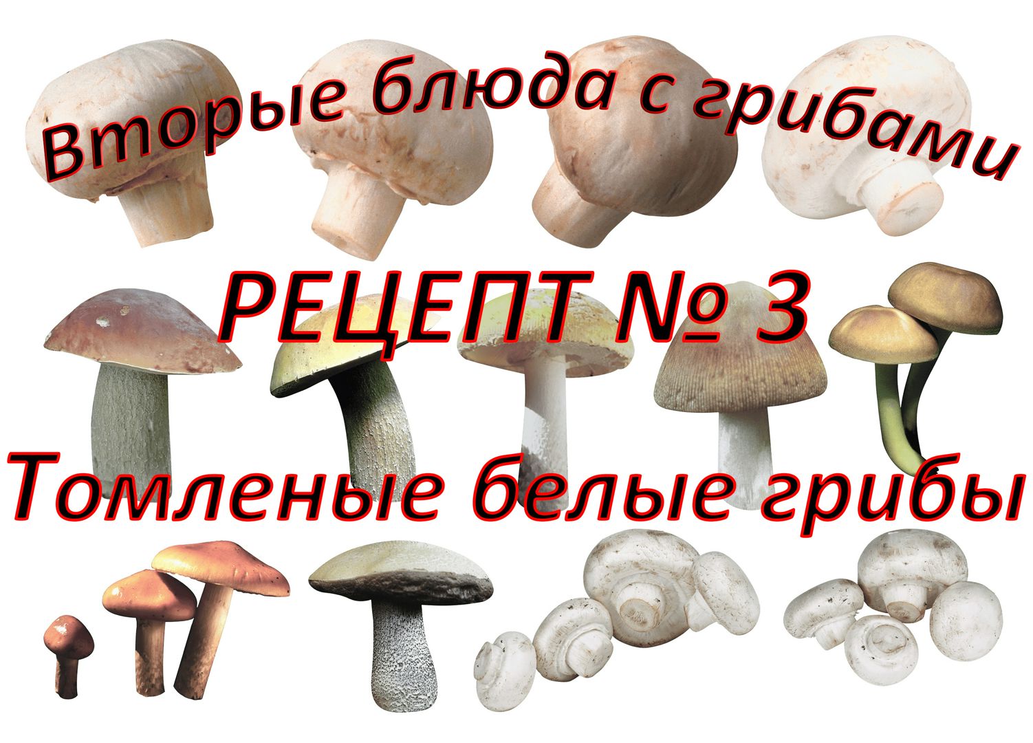 Вторые блюда Рецепт № 3 Томленые белые грибы - Составитель Кормилицын А.А.  - скачать на Wildberries Цифровой | 134864