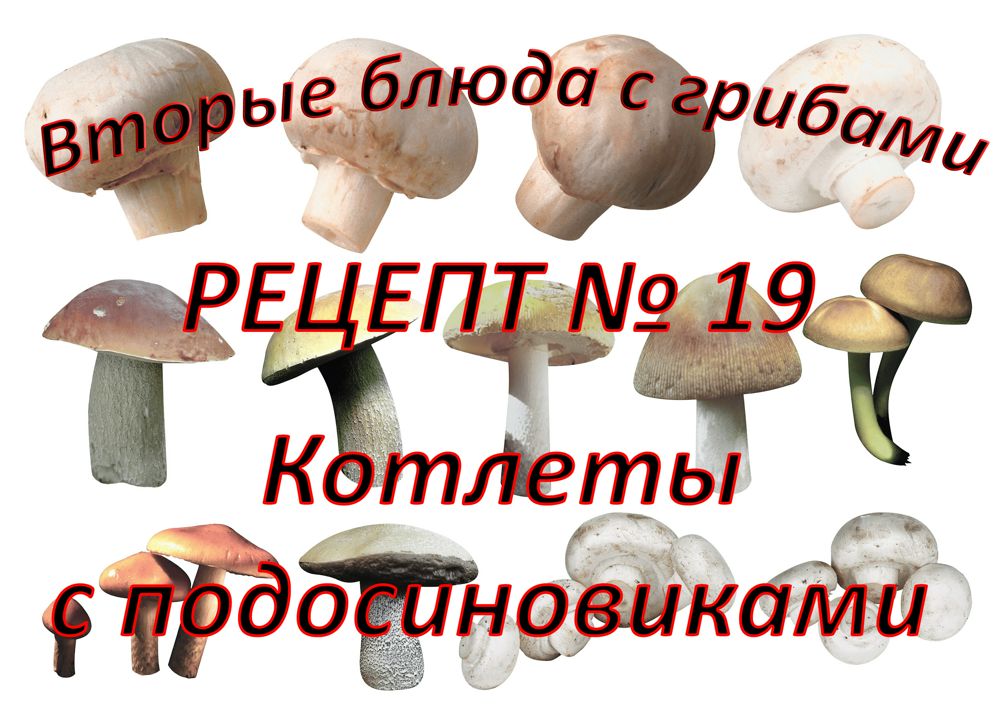 Вторые блюда Рецепт № 19 Котлеты с подосиновиками