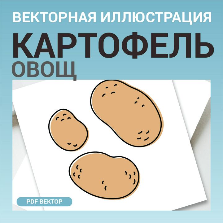 Картофель в стиле дудл без фона. Векторная картинка pdf. Овощ картошка в векторе. Для меню, рецептов