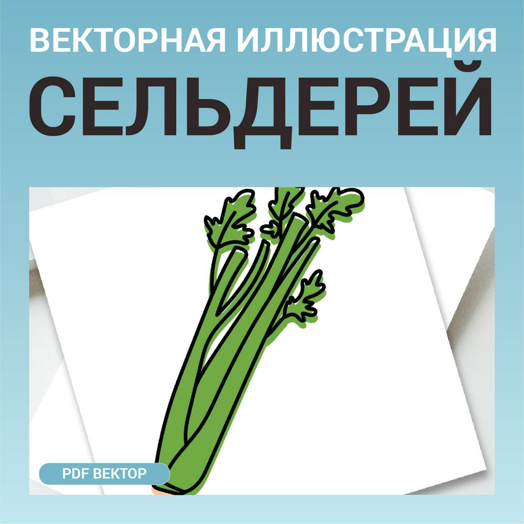 Сельдерей стебель в стиле дудл без фона. Векторная картинка pdf. Овощ в ...