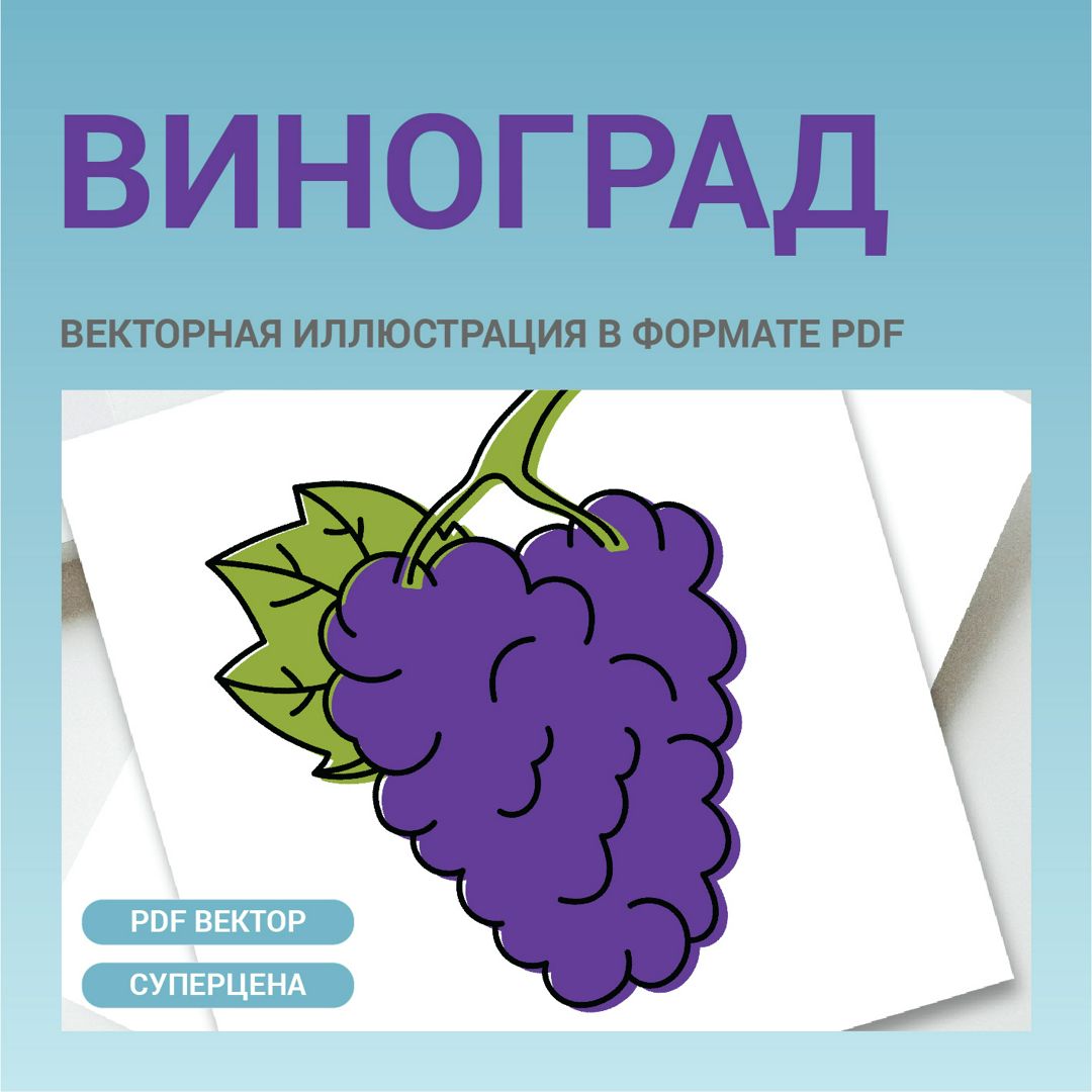 Виноград фрукт в стиле дудл без фона. Векторная картинка pdf в векторе. Для  меню, рецептов, этикетки