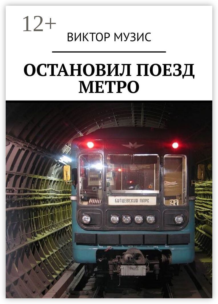 Остановил поезд метро