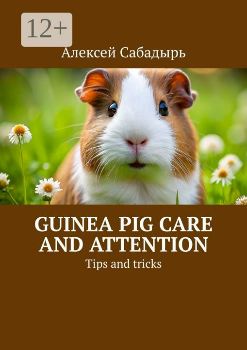 Guinea pig care and attention