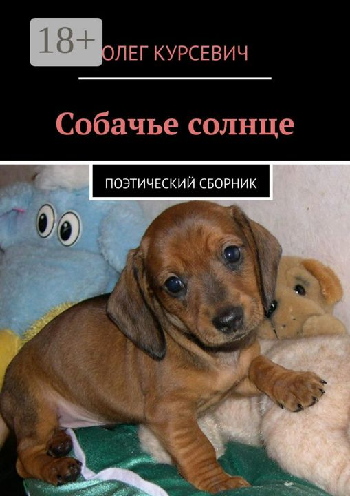 Собачье солнце