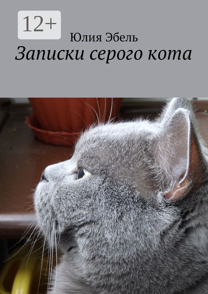 Записки серого кота
