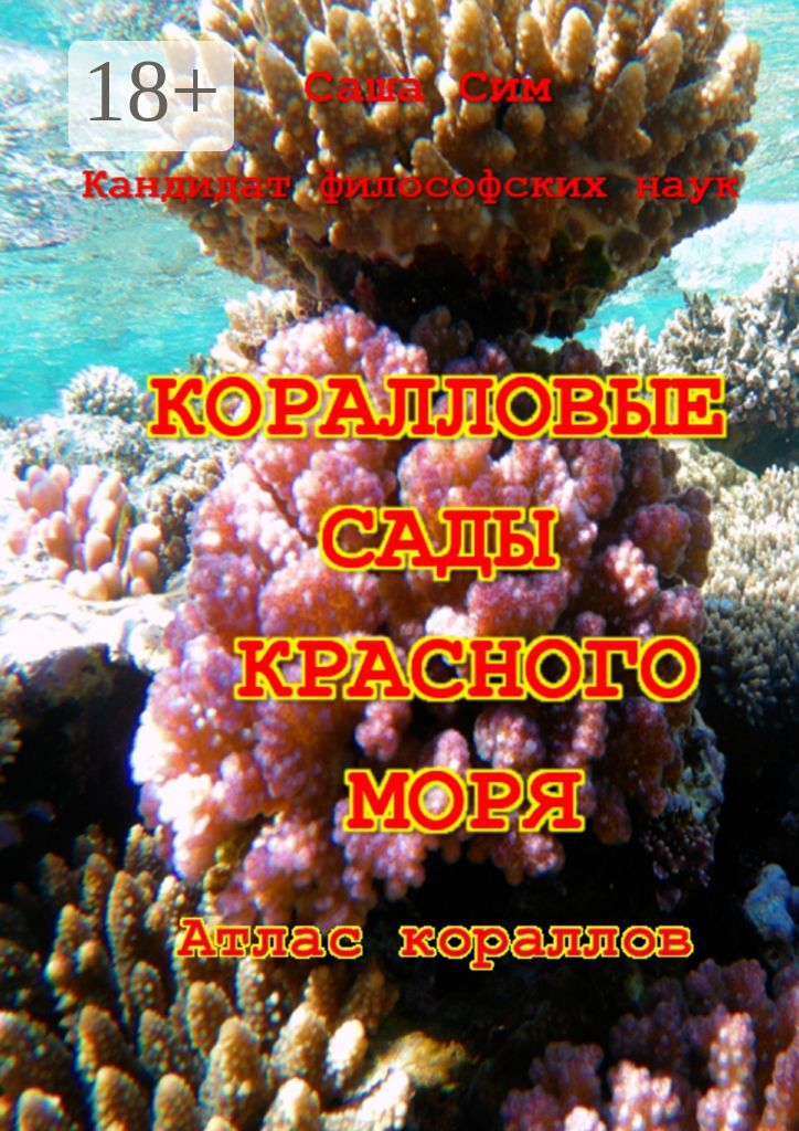 Коралловые сады Красного моря