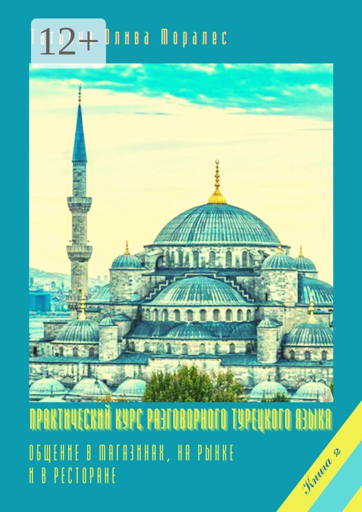 Практический курс разговорного турецкого языка. Книга 2