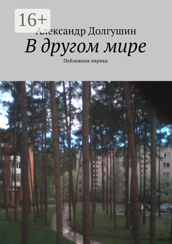 В другом мире