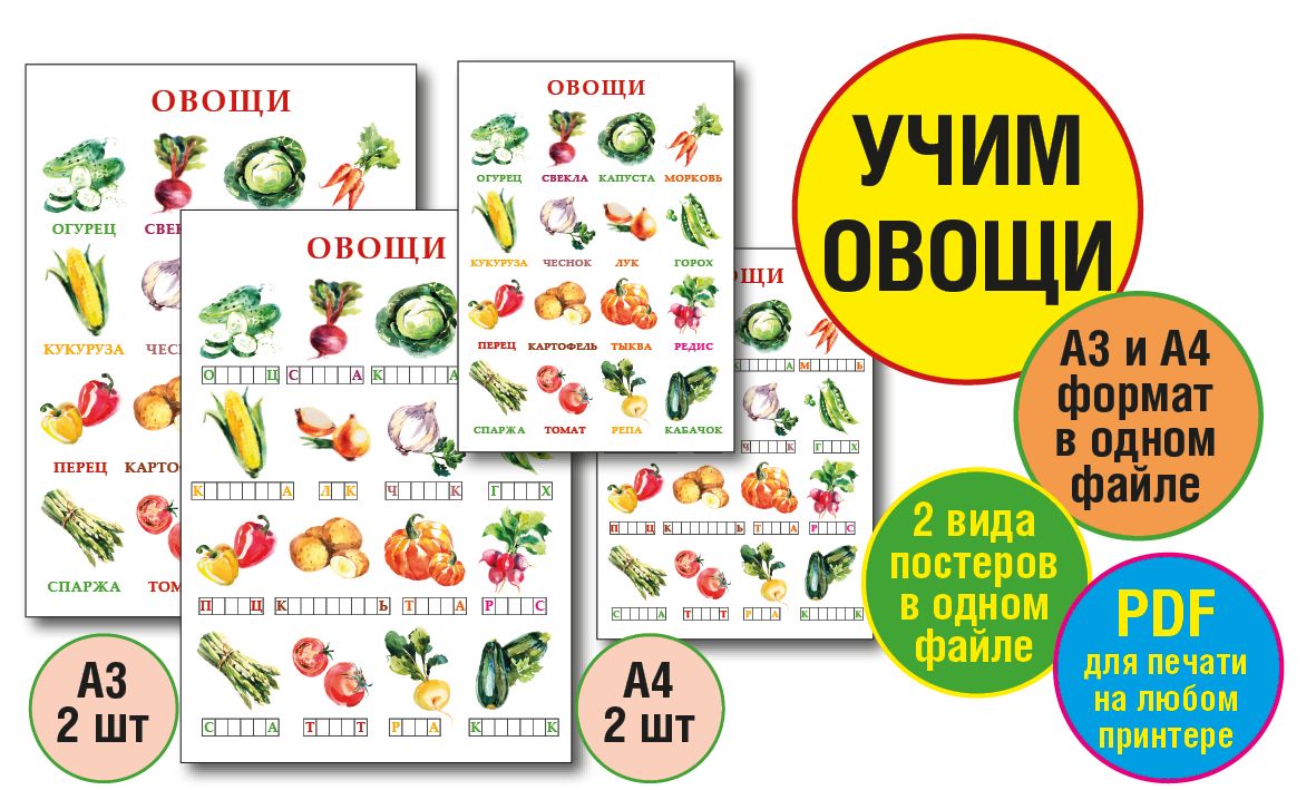 Плакат "Учим овощи"