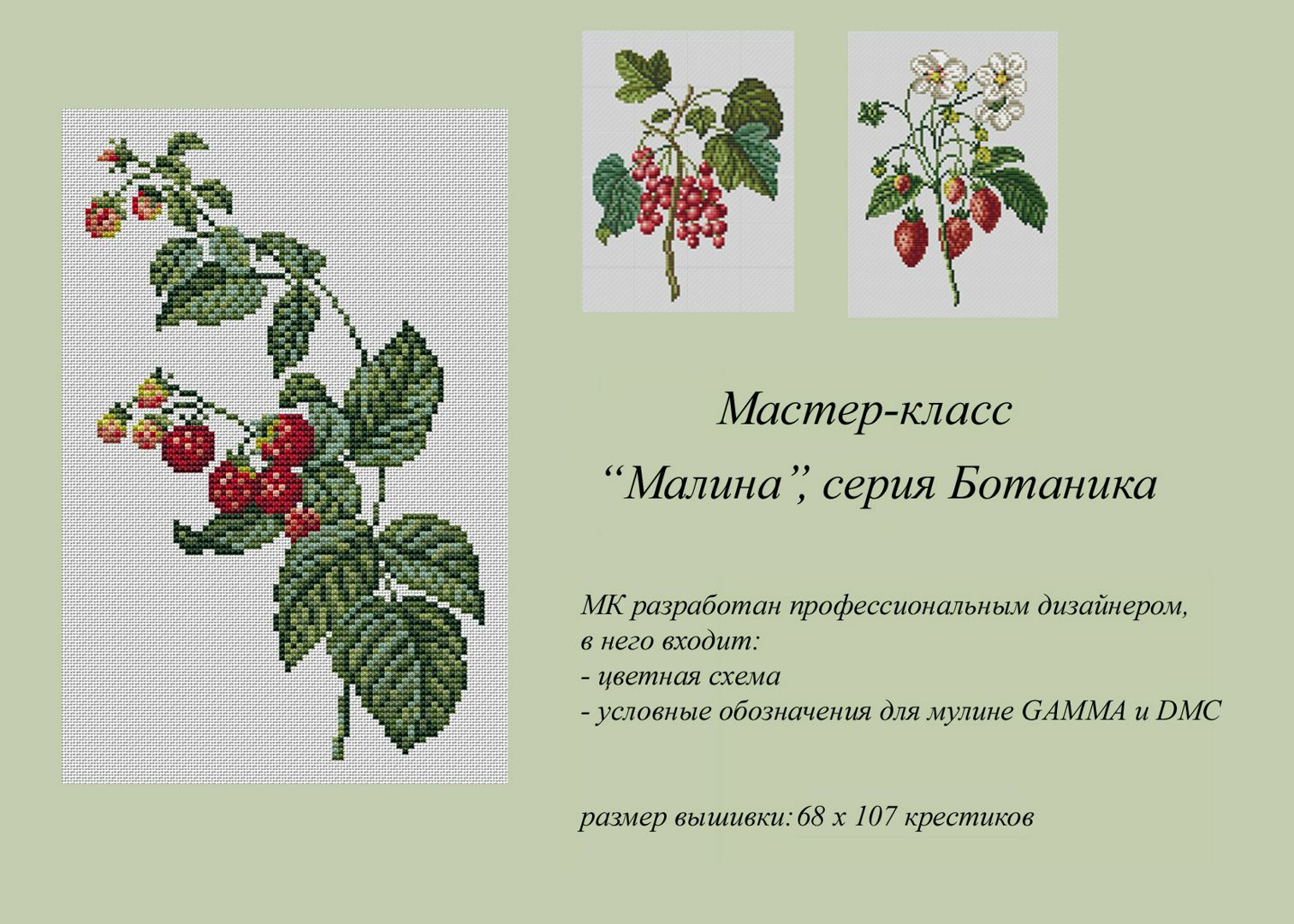Загадка про ягоду малину. Малина схема 1 класс. Малина схема 1 класс. Лесные ягоды с текстом. Малина схема 1 класс.